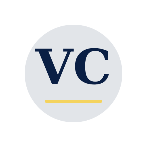 Vini Chimney Services logo